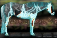 Horse Color:Thunderstruck Black Ice Splash 