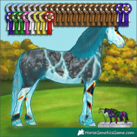Horse Color:Thunderstruck Black Ice Splash