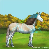 Horse Color:Thunderstruck Grullo Pearl Sabino Splash 