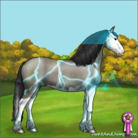 Horse Color:Thunderstruck Grullo Splash 