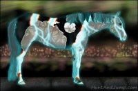 Horse Color:Thunderstruck Grullo Ice Sabino Tobiano 