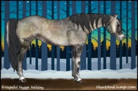 Horse Color:Blue Onyx Ice Sabino