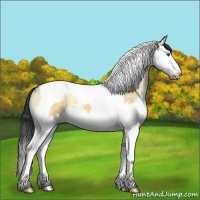 Horse Color:Brown Ice Onyx Splash Tobiano Rabicano 