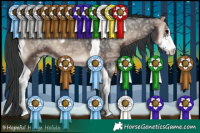 Horse Color:Blue Onyx Ice Sabino Tobiano 