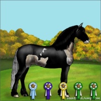 Horse Color:Blue Onyx Ice Sabino Splash Tobiano 