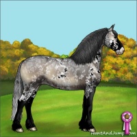 Horse Color:Blue Onyx Ice Sabino Splash Rabicano 