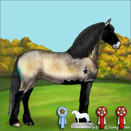 Horse Color:Buckskin Ice Onyx Sabino Splash