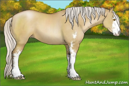 Horse Color:Silver Grullo Pearl Sabino 