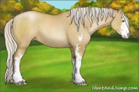 Horse Color:Silver Grullo Pearl Sabino 
