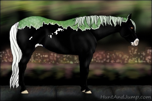 Horse Color:Watercolor Silver Black Chinchilla Sabino Splash 