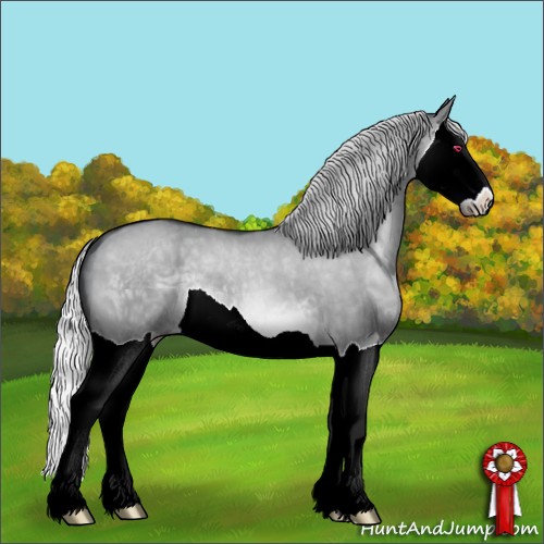 Horse Color:Silver Brown Chinchilla Dun Splash 