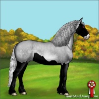 Horse Color:Silver Brown Chinchilla Dun Splash 