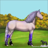 Horse Color:Watercolor Silver Brown Chinchilla 