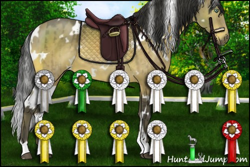 Horse Color:White Spotted Buckskin Dun 