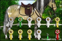 Horse Color:White Spotted Buckskin Dun 