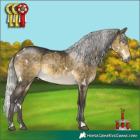 Horse Color:White Spotted Silver Buckskin Dun Mushroom Brindle