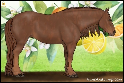 Horse Color:Chestnut Brindle