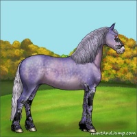 Horse Color:Watercolor Silver Black Chinchilla Sabino