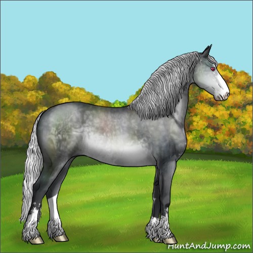 Horse Color:Silver Brown Chinchilla Sabino