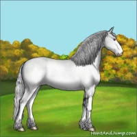 Horse Color:Silver Brown Chinchilla Sabino