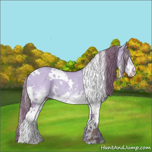 Horse Color:Watercolor White Spotted Red Dun Rabicano 