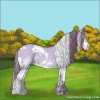 Horse Color:Watercolor White Spotted Red Dun Rabicano 