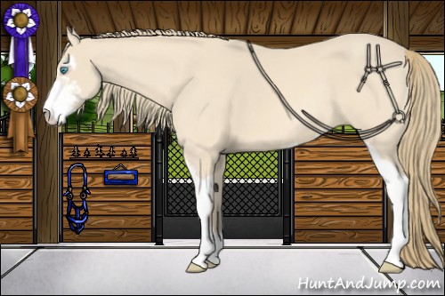 Horse Color:Perlino Sabino