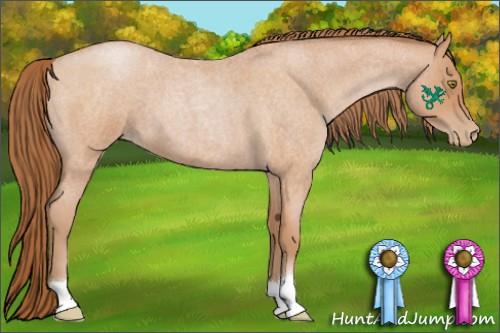 Horse Color:Bay Roan Pearl 