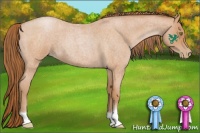 Horse Color:Bay Roan Pearl 