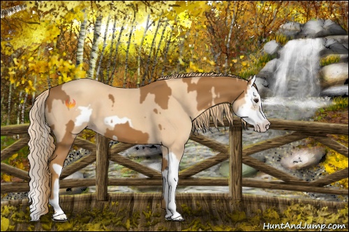 Horse Color:Chestnut Splash Frame  and Gold Champagne Splash Frame 