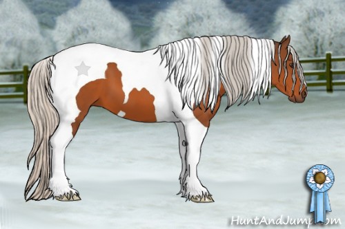 Horse Color:Silver Bay Tobiano
