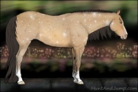 Horse Color:White Spotted Amber Champagne 