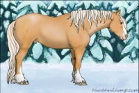 Horse Color:Silver Bay Pearl Sabino
