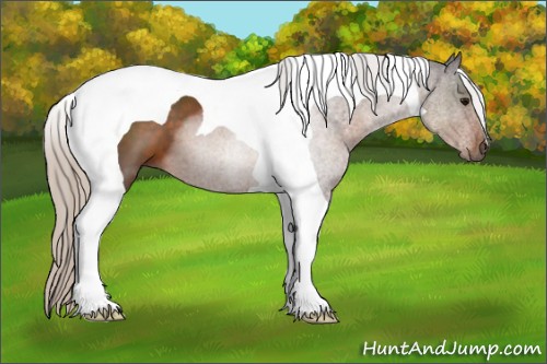 Horse Color:Silver Brown Tobiano 