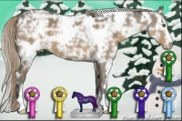 Horse Color:White Spotted Chocolate Palomino Ice Sabino