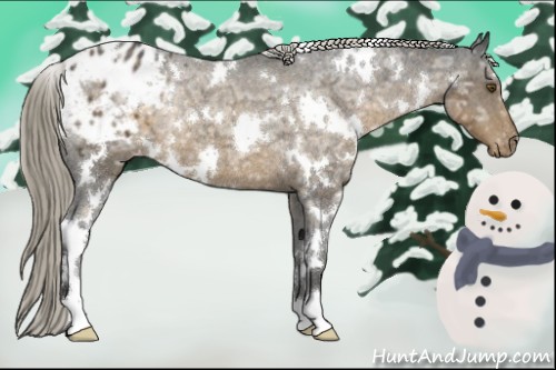 Horse Color:White Spotted Chocolate Palomino Ice Varnish Rabicano