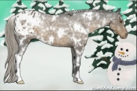 Horse Color:White Spotted Chocolate Palomino Ice Varnish Rabicano 
