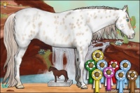 Horse Color:White Spotted Chocolate Palomino Ice Pearl Near Leopard Rabicano