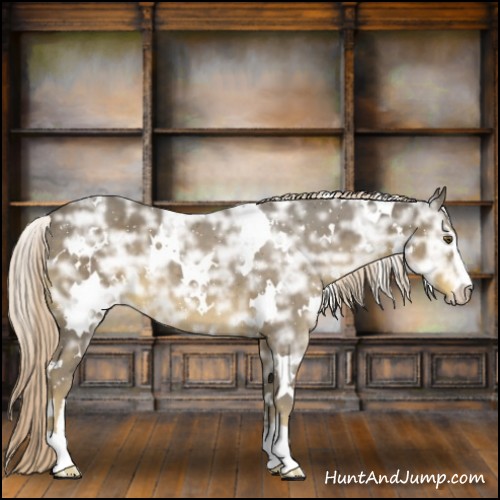 Horse Color:White Spotted Chocolate Palomino Ice Sabino 