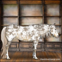 Horse Color:White Spotted Chocolate Palomino Ice Sabino