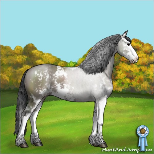 Horse Color:Grullo Sabino Splash 