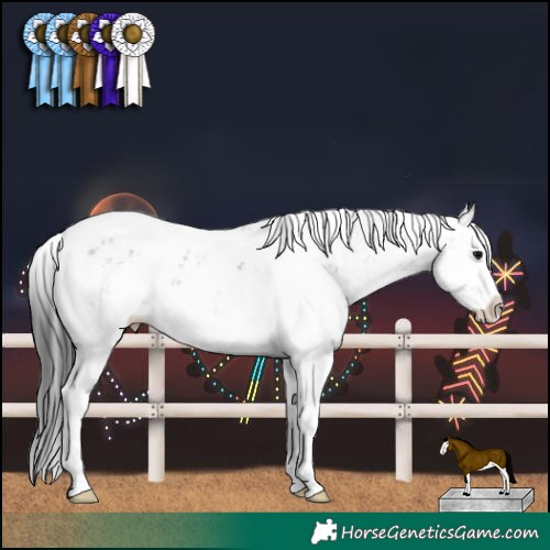 Horse Color:Grullo Sabino Splash