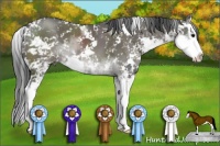 Horse Color:Grullo Sabino Splash