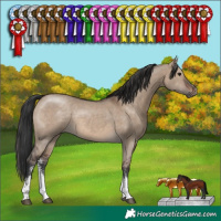 Horse Color:Brown Dun Sabino