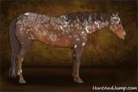 Horse Color:White Spotted Liver Chestnut Ice Rabicano 