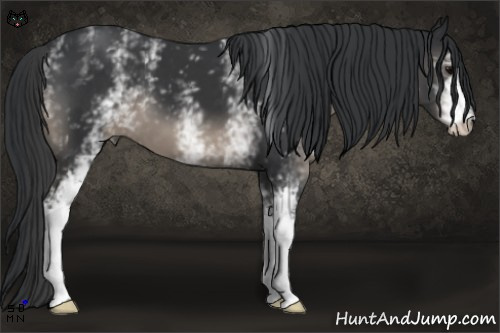 Horse Color:Platinum White Spotted Black 