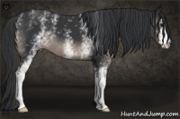 Horse Color:Platinum White Spotted Black 