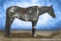 Horse Color:White Spotted Smoky Black 