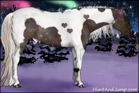 Horse Color:Midnight Silver Bay Ice Tobiano 