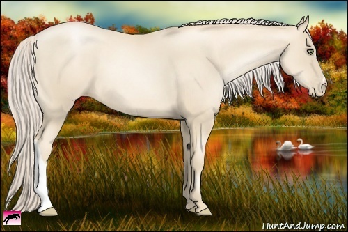 Horse Color:Gold Cream Champagne Pearl 